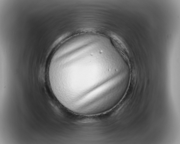 X0000086260578200704122012