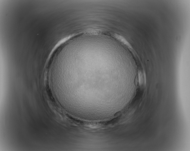 X0000086260579200704122012
