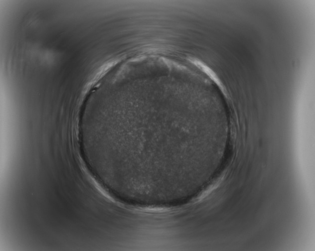 X0000086260581200704122012