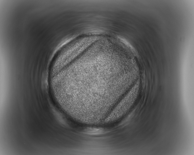 X0000086260582200704122012