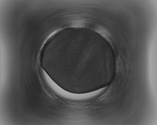 X0000086260584200704122012