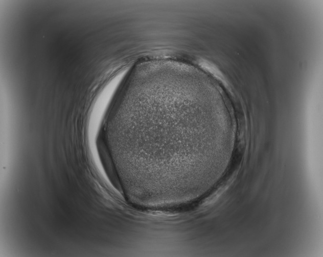 X0000086260585200704122012