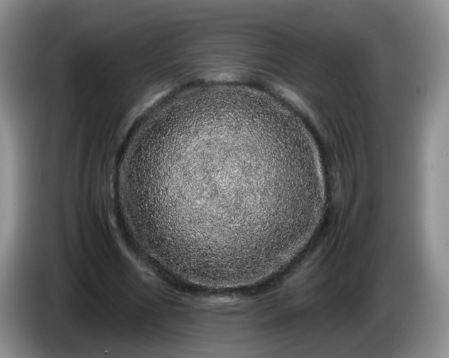 X0000086260586200704122012