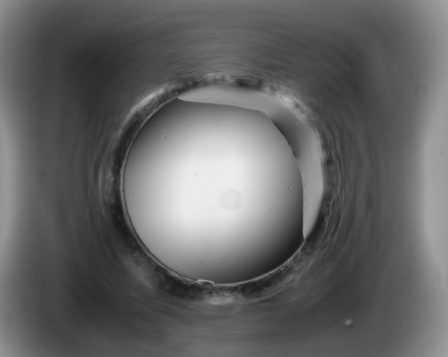 X0000086260587200704122012