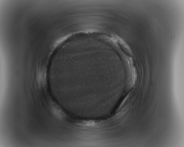 X0000086260588200704122012