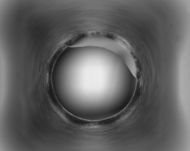 X0000086260589200704122012