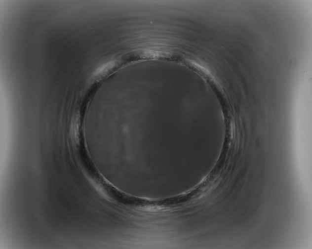 X0000086260590200704122012