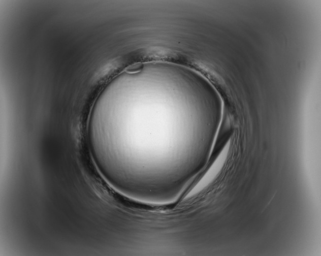 X0000086260591200704122011