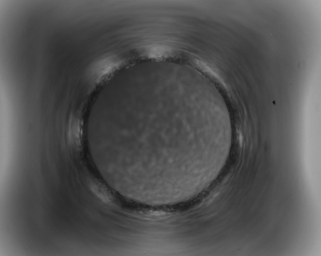 X0000086260592200704122011