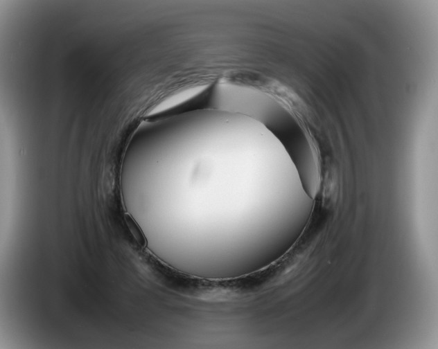 X0000086260593200704122011