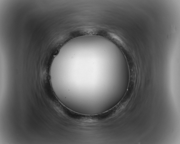 X0000086260597200704122011