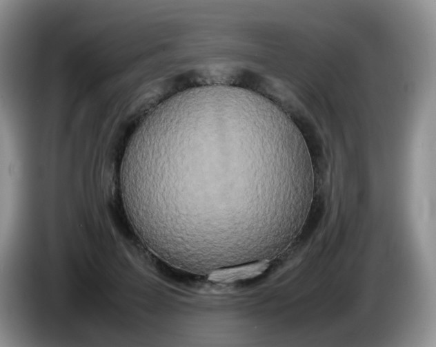 X0000086260599200704122011