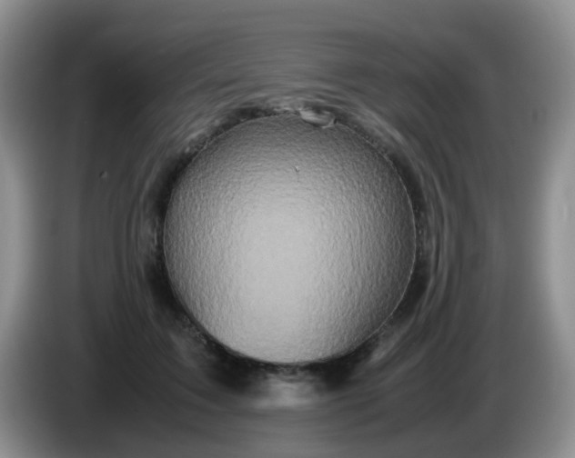 X0000086260603200704122011