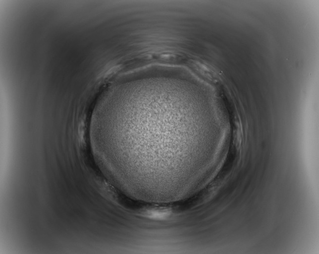 X0000086260604200704122011