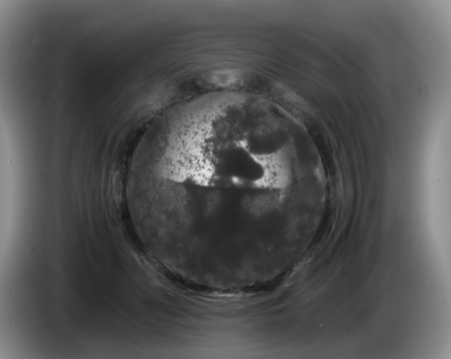 X0000086260606200704122011