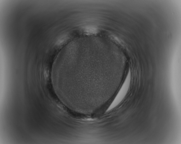 X0000086260608200704122011