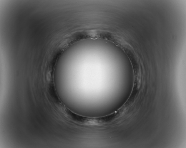 X0000086260611200704122011