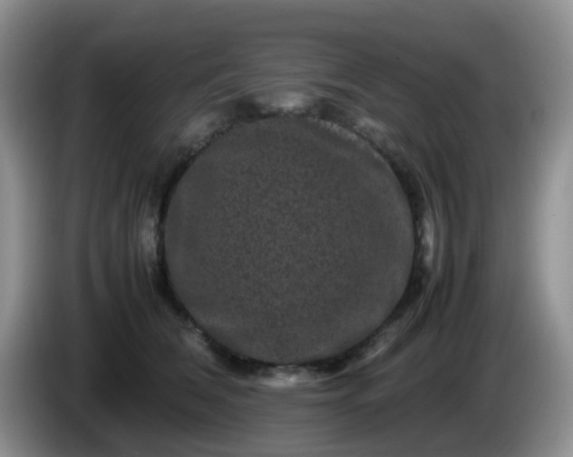 X0000086260612200704122011
