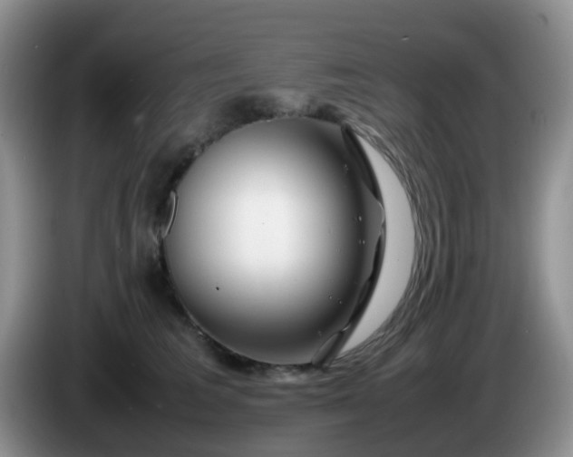 X0000086260613200704122011
