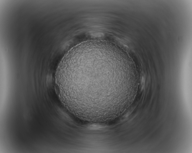 X0000086260614200704122011