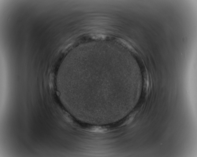 X0000086260616200704122011