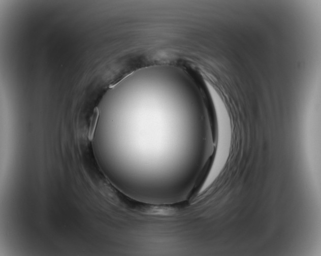 X0000086260617200704122011