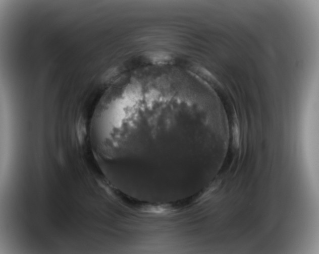 X0000086260618200704122011