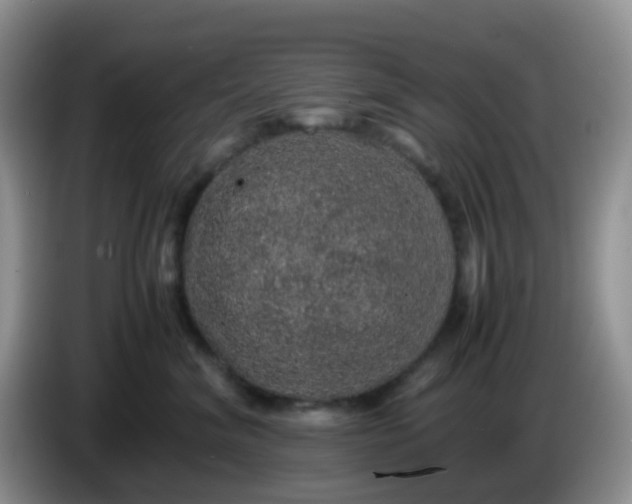 X0000086260620200704122011