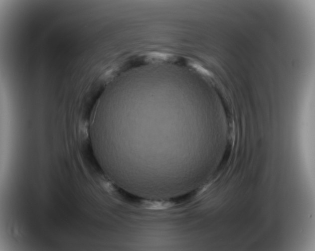 X0000086260621200704122011