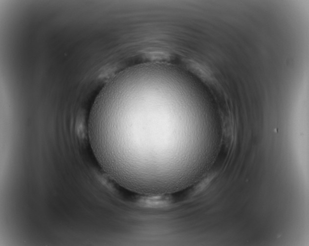 X0000086260622200704122011
