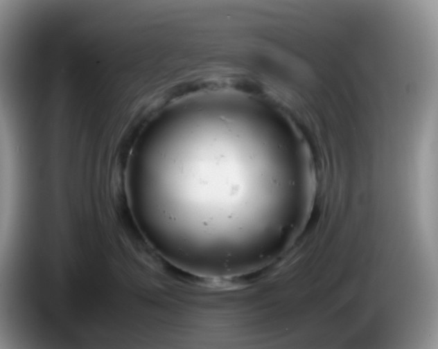 X0000086260623200704122011