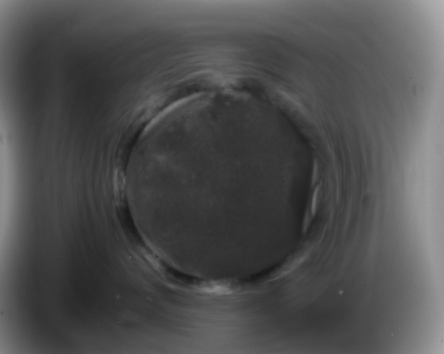 X0000086260624200704122011