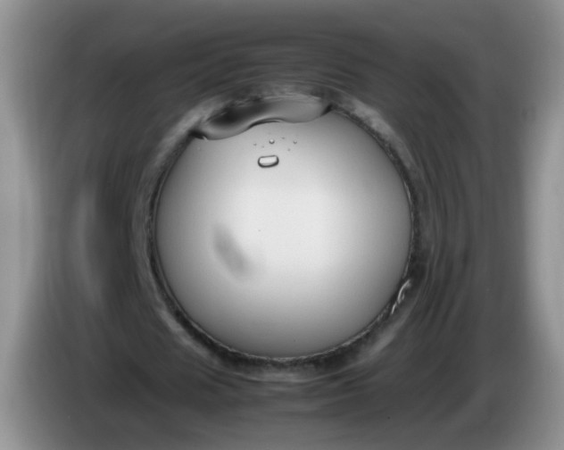 X0000086260625200704122011