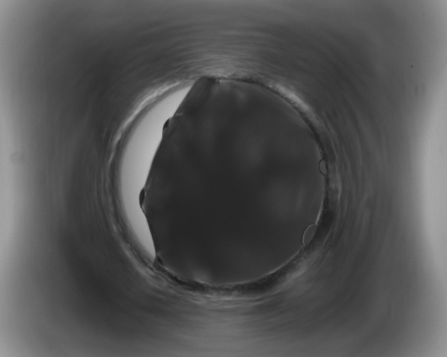 X0000086260626200704122011