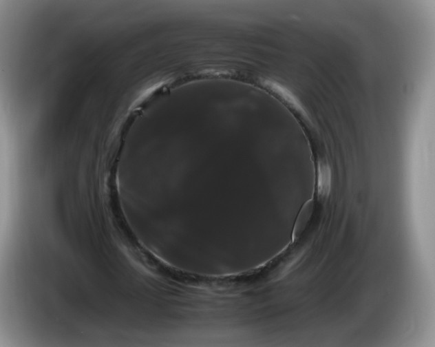 X0000086260627200704122011