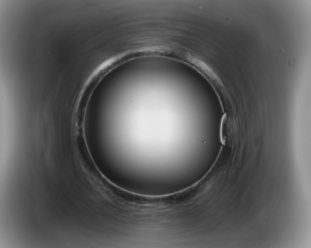 X0000086260628200704122011