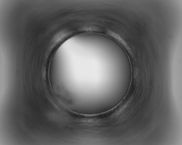 X0000086260629200704122011