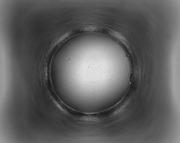 X0000086260633200704122011