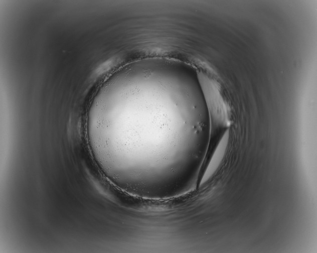 X0000086260638200704122011