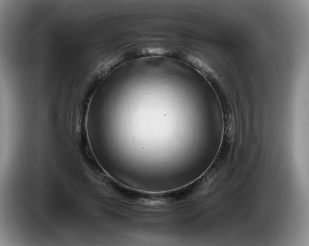 X0000086260639200704122011