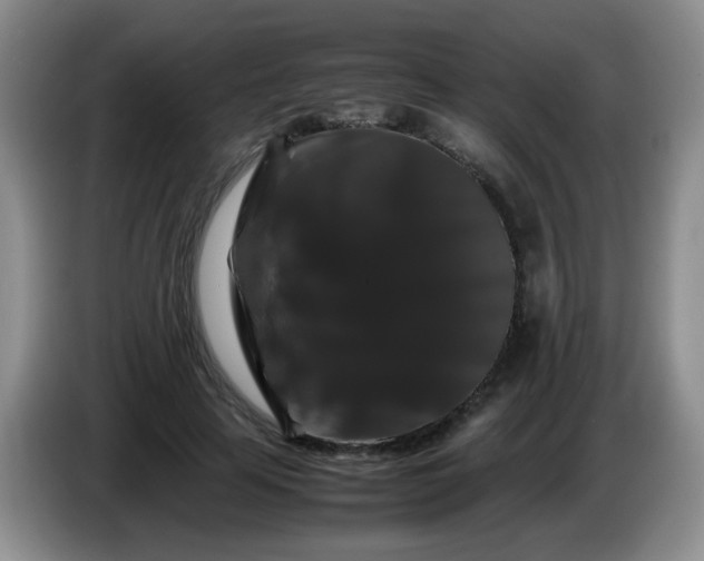 X0000086260641200704122011