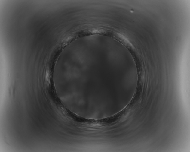 X0000086260643200704122011