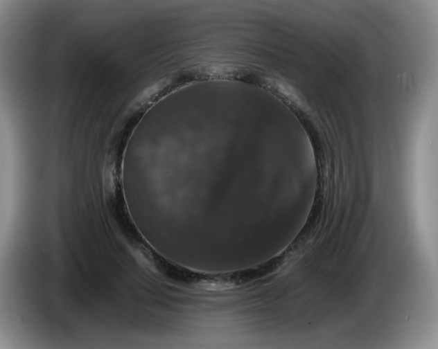 X0000086260644200704122011