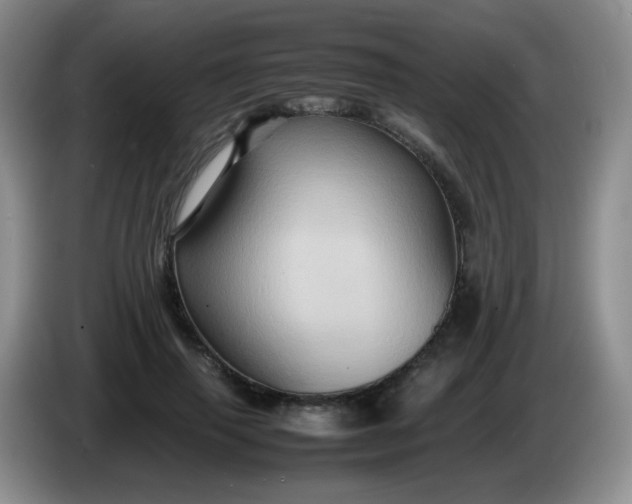 X0000086260645200704122011