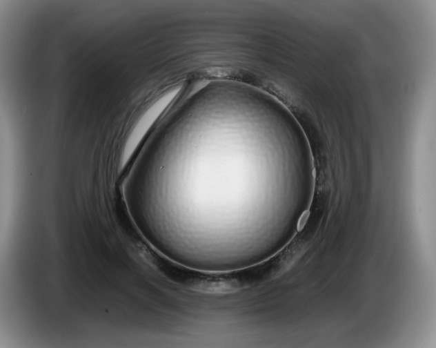 X0000086260646200704122011