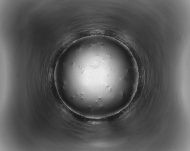 X0000086260649200704122011