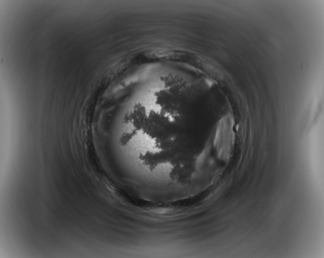 X0000086260653200704122011
