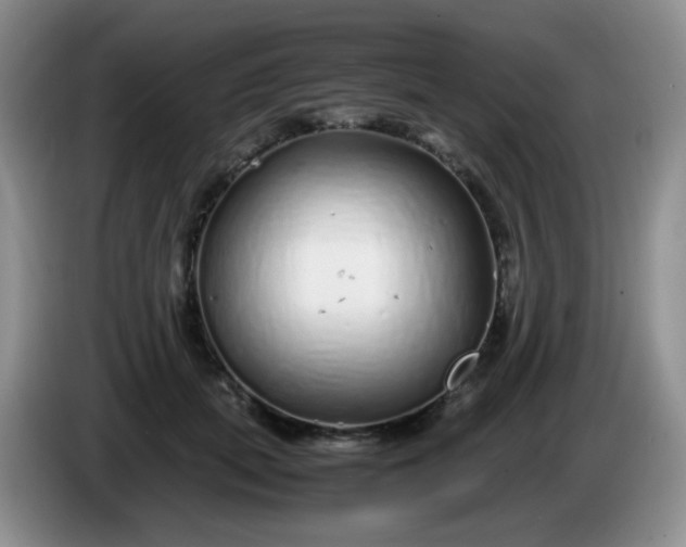 X0000086260655200704122011