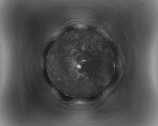 X0000086260658200704122011