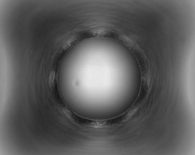 X0000086260660200704122011